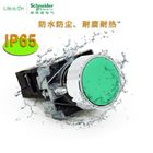 XB2B-Drucktastenschalter-industrielle elektrische Kontrollen belichteter ebener Kopf 24v 230v 1NO1NC