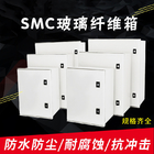 SMC-glasverstärkter Plastikeinschließungs-Kasten IP65 Hochleistungs