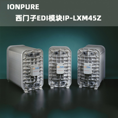 5.1-7.67m3/Hr Ionenrein CEDI LX-Z IP-LXM45Z-5 Kontinuierlicher einfacher Betrieb
