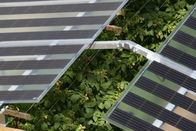 1 Kilowatt weg vom Gitter-Sonnenkollektor-Flachdach-Montage-System mit Proinverter